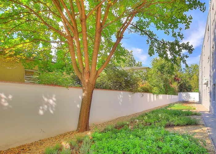 안나 부다페스트